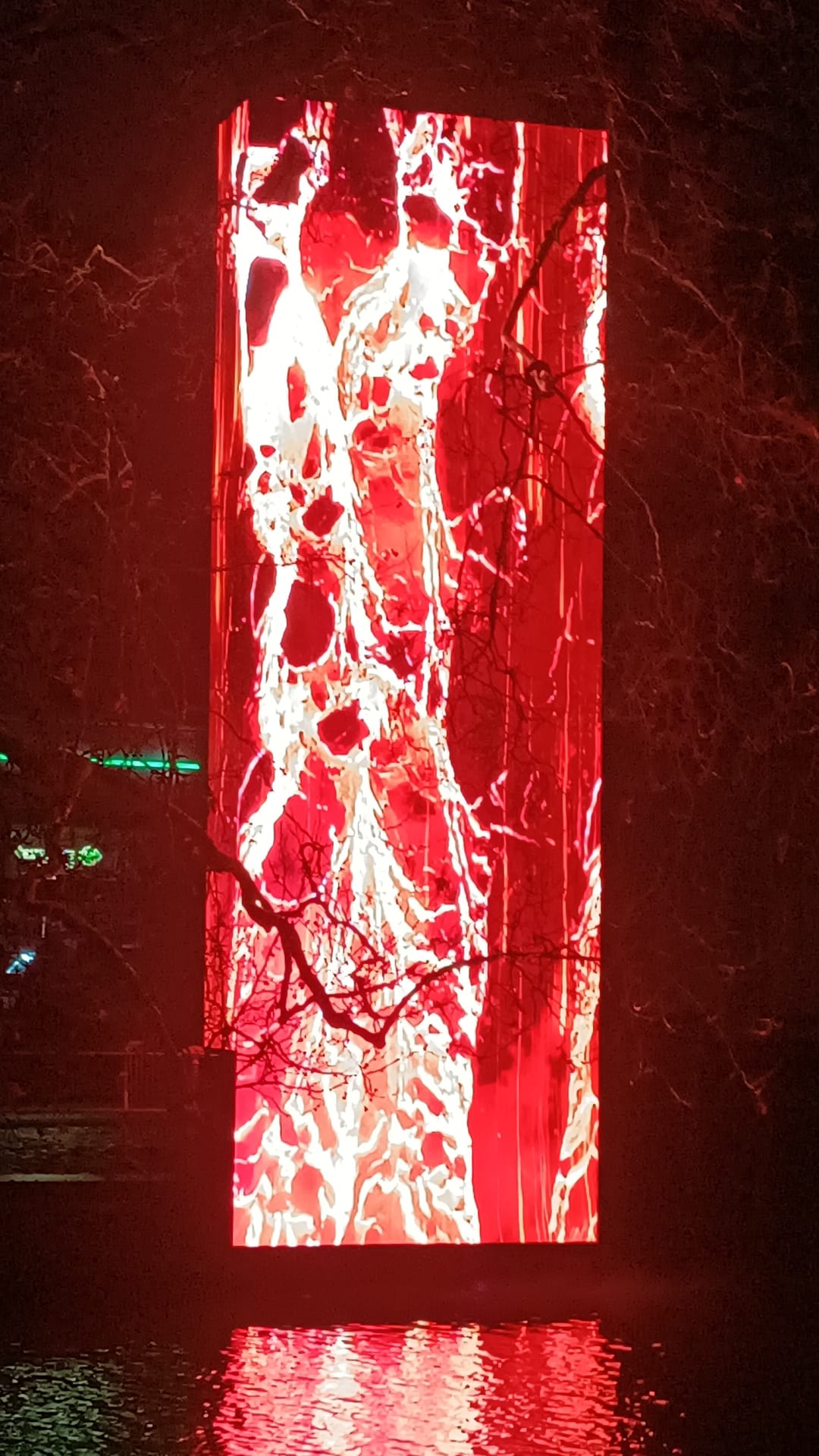 Sint-Martinus den XIIde - Winterkamp JVK 2024